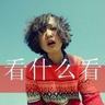 宠物小鸭子小知识大全